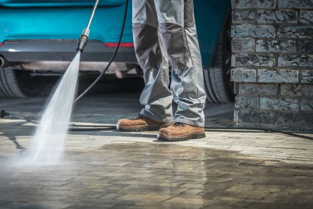 Best Driveway Pressure Washing  in Horizon City, TX